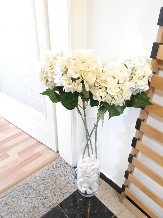 Studio Old Center บูคาเรสต์ ภายนอก รูปภาพ